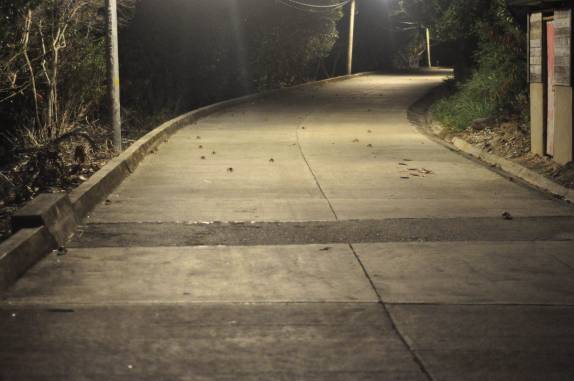 De noite, estrada repleta de caranguejos em Providencia, ilha colombiana no Caribe